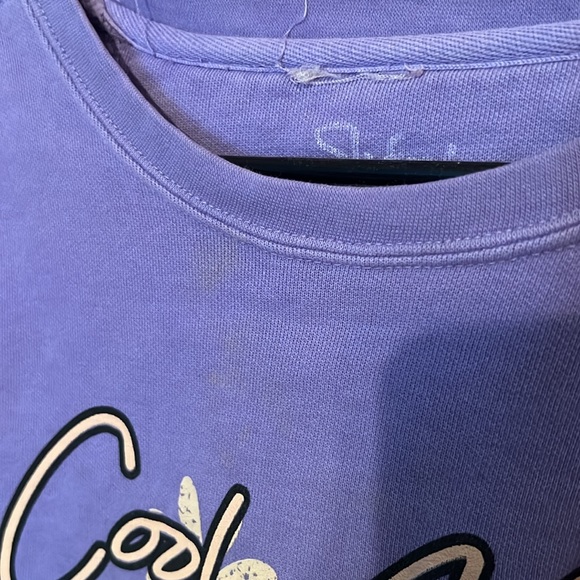 Graphic Cropped Sweatshirt - Picture 3 of 3